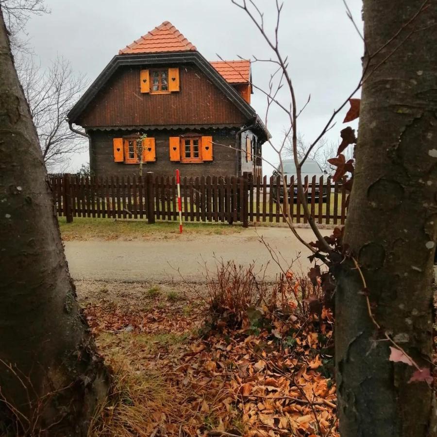 Kuca Za Odmor Poljanica Okicka Villa Jastrebarsko Exterior photo